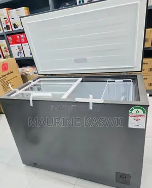 Hisense Chest Freezer Dual 245l