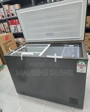 Hisense Chest Freezer Dual 245l