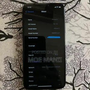 Apple iPhone X 256 GB Graphite