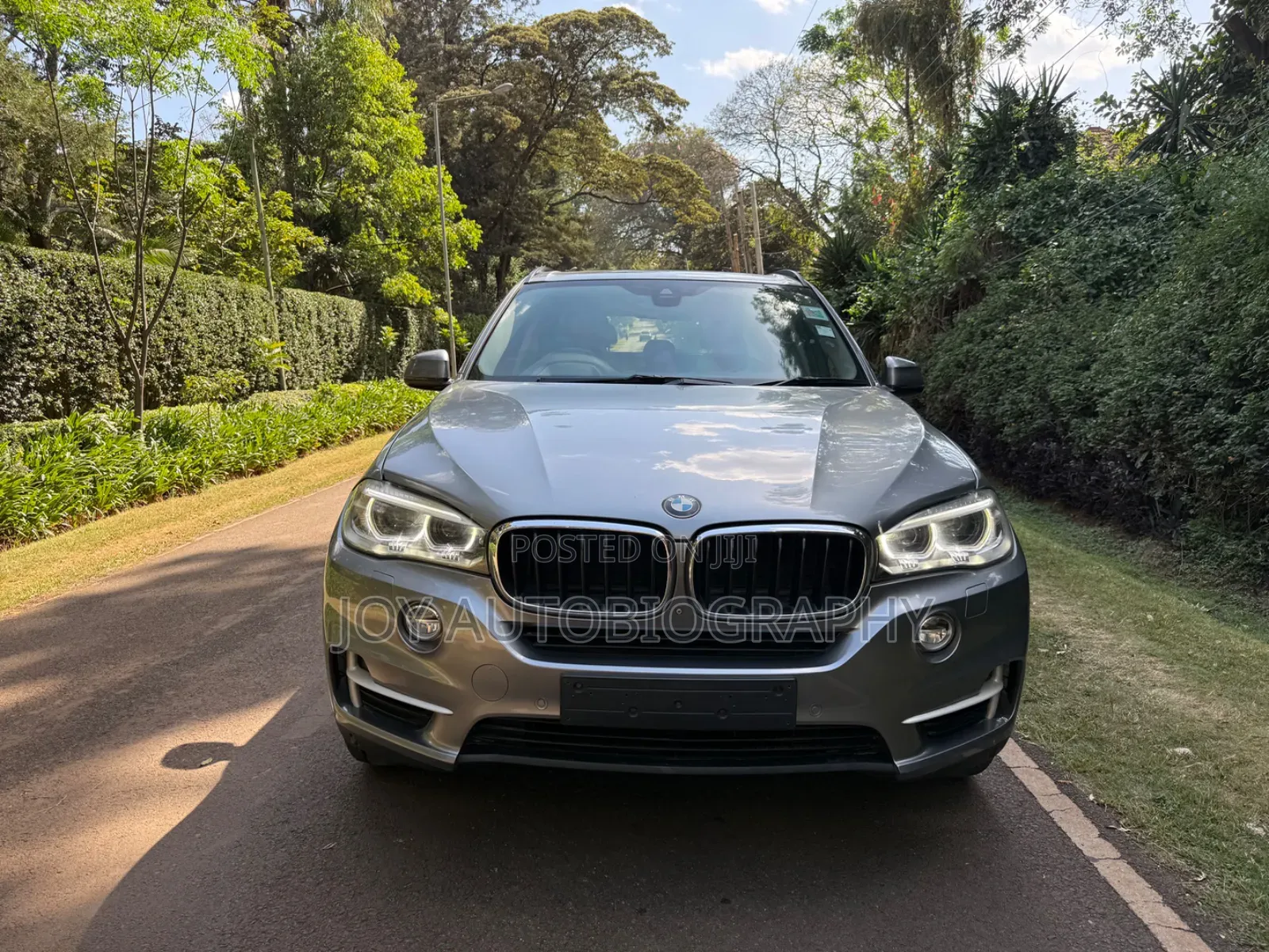 BMW X5 2015 Gray