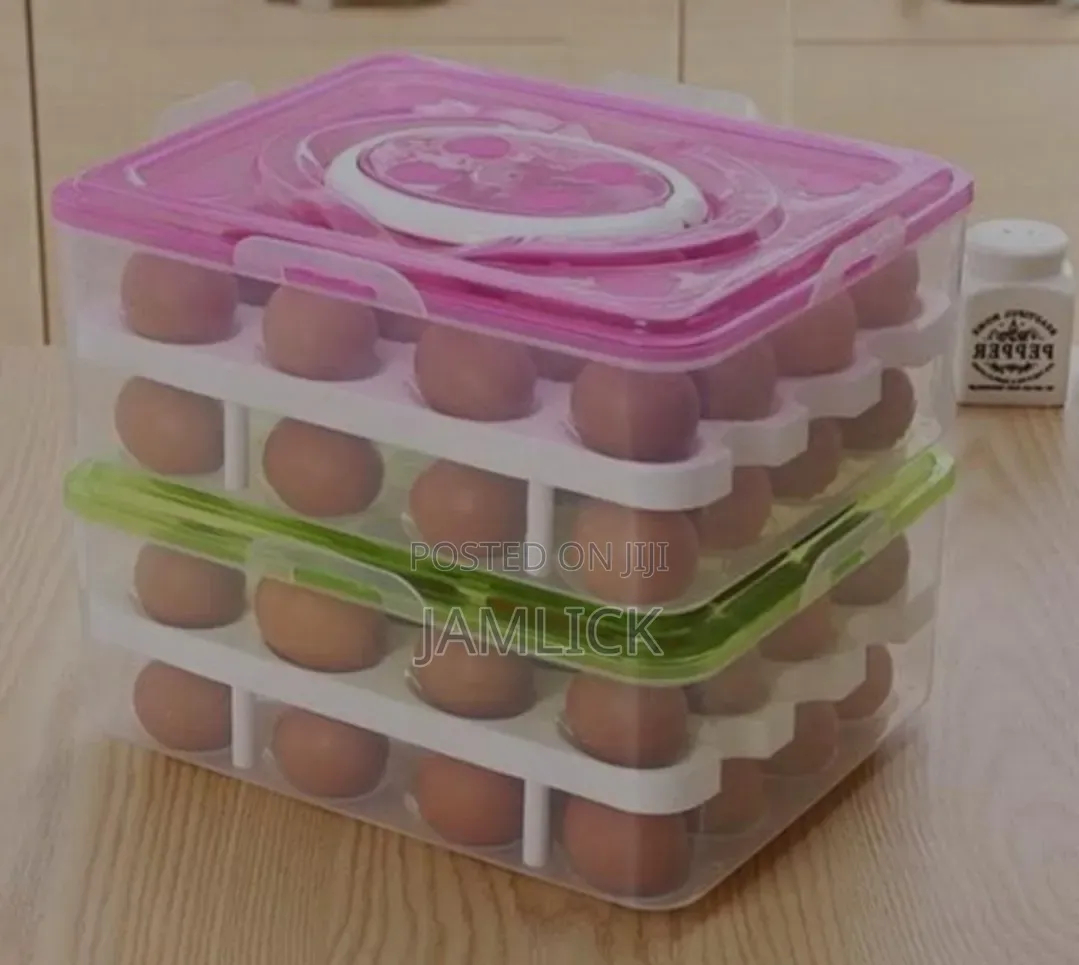 2-Layer 32pc Egg Tray Organizer - Pm