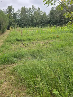 50ft by 100ft Prime Residential Plots in Ongata Rongai Nkoroi