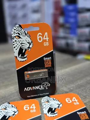 64GB High Speed Advance Flash Disks- Silver