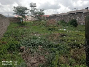 50ft by 100ft Prime Commercial Plots in Ongata Rongai Laiser Hill