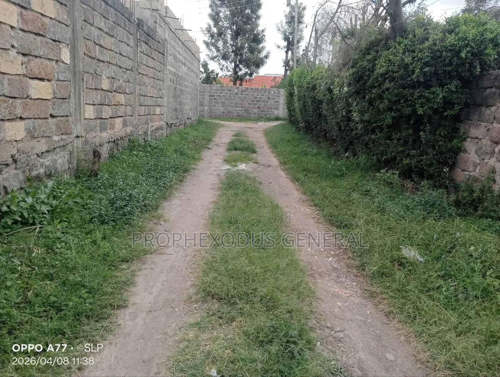 50ft by 100ft Prime Commercial Plots in Ongata Rongai Laiser Hill