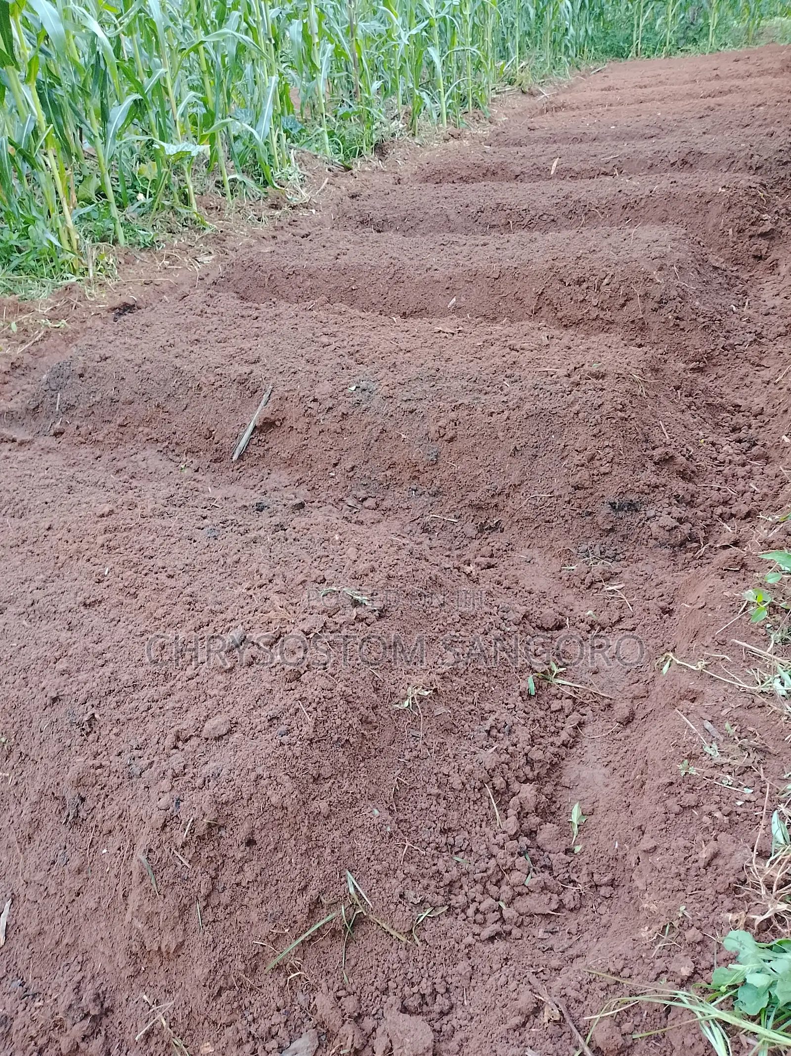 Kisaju Plot Free Hold With Ready Title