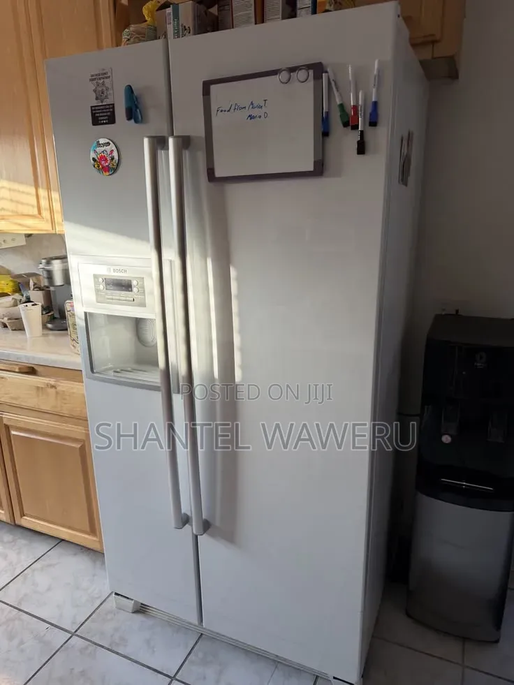 Fridge Repair and Service