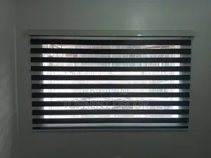 Classy and Contemporary Horizontal Office Window Blinds