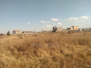 Malaa 60 × 80 Plot Two Plots ON SALE