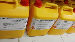 Sikatop Seal 107 for Interior and Exterior