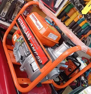 Most Selling Astramilano Commercial Water Pump Petrol