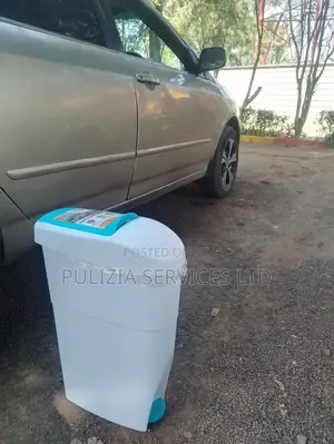 Sanitary Bins at Affordable Price