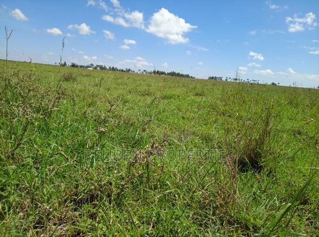 Naromoru Bethany Garden