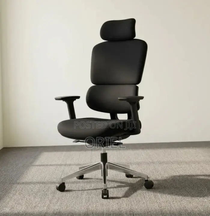 Ergonomic High-Back Office Chair : Executive Adjustable Office Chair