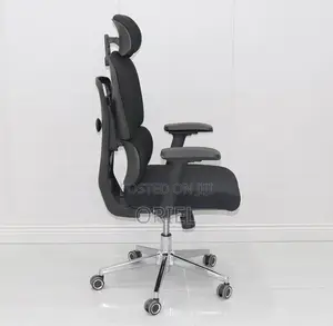 Ergonomic High-Back Office Chair : Executive Adjustable Office Chair