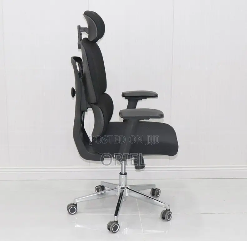 Ergonomic High-Back Office Chair : Executive Adjustable Office Chair