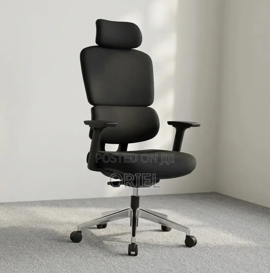 Ergonomic High-Back Office Chair : Executive Adjustable Office Chair