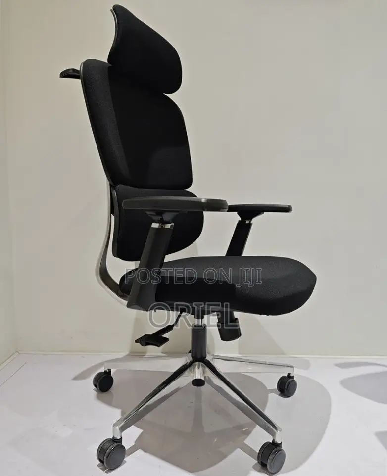 Ergonomic High-Back Office Chair : Executive Adjustable Office Chair