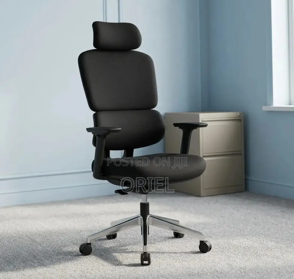 Ergonomic High-Back Office Chair : Executive Adjustable Office Chair