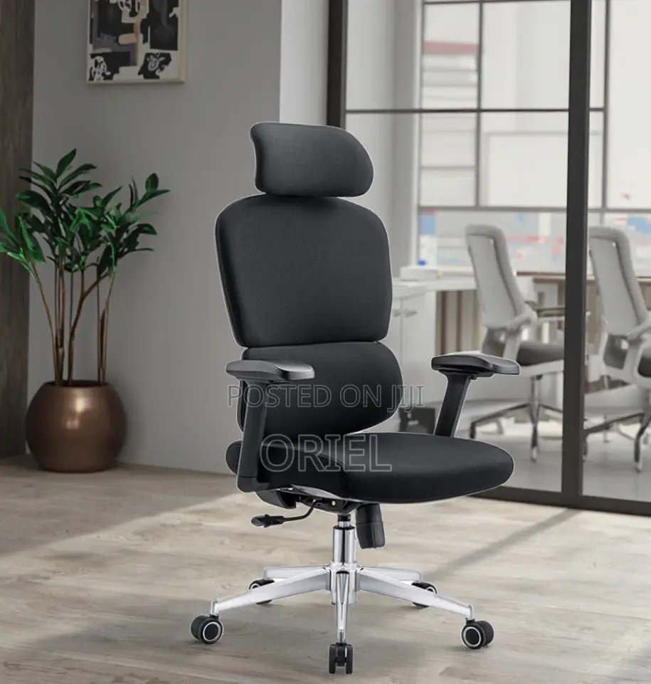 Ergonomic High-Back Office Chair : Executive Adjustable Office Chair