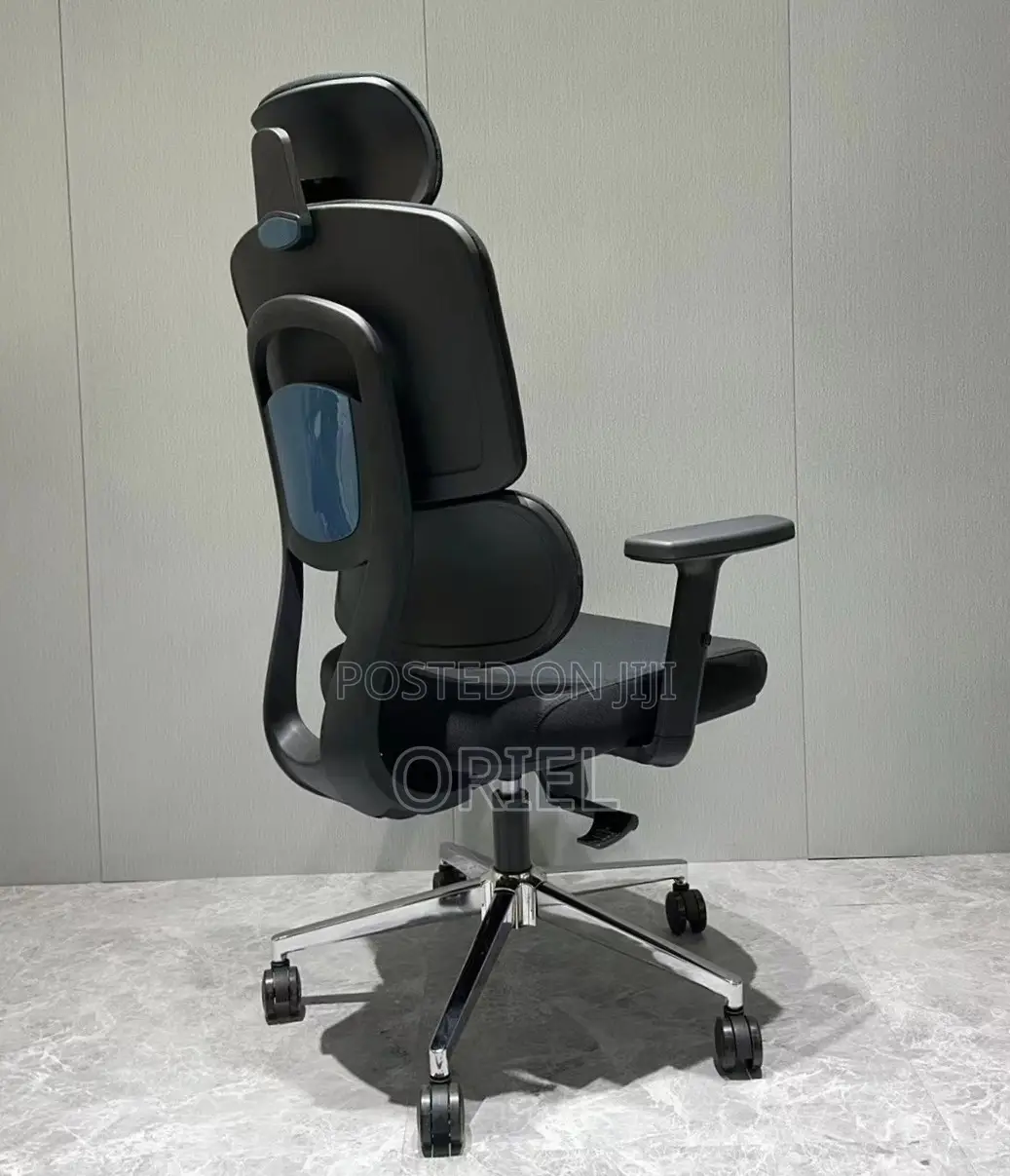 Ergonomic High-Back Office Chair : Executive Adjustable Office Chair