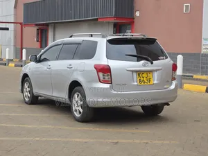 Toyota Corolla Fielder 2010 Silver