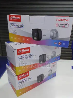 2mp Colored Dahua Two Way Talk Camera