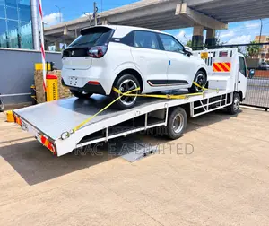 Electric Car Towing Relocation