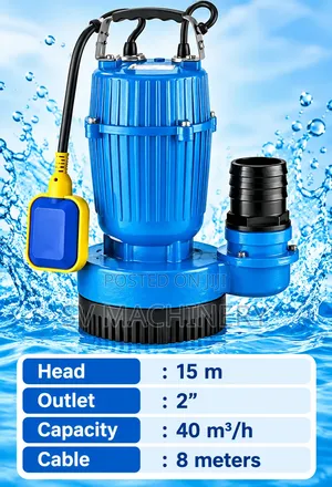 Heavy Duty QDX Sewage Pump 3hp
