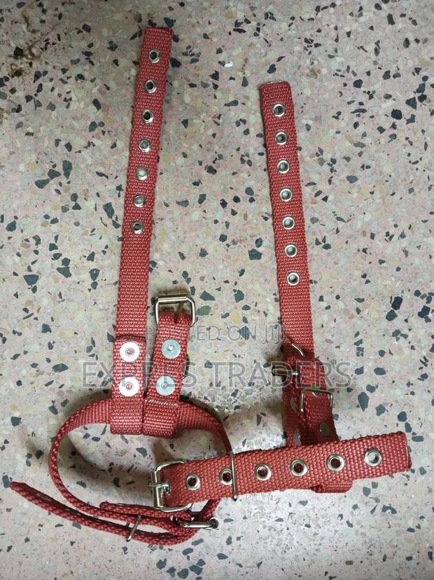 Wooden Pole Climbers Straps