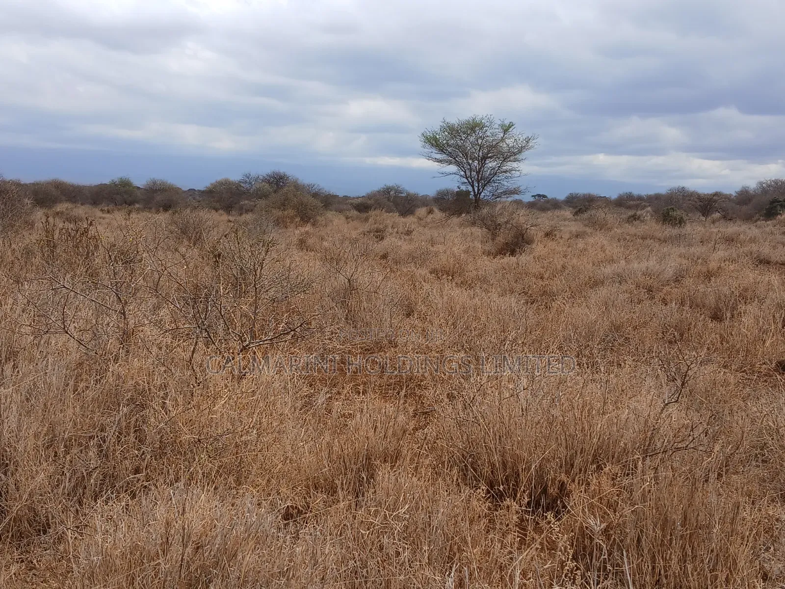 Prime Distress Deal! 58 Acres in Kimana,Amboseli NP Next to Sopa Lodge