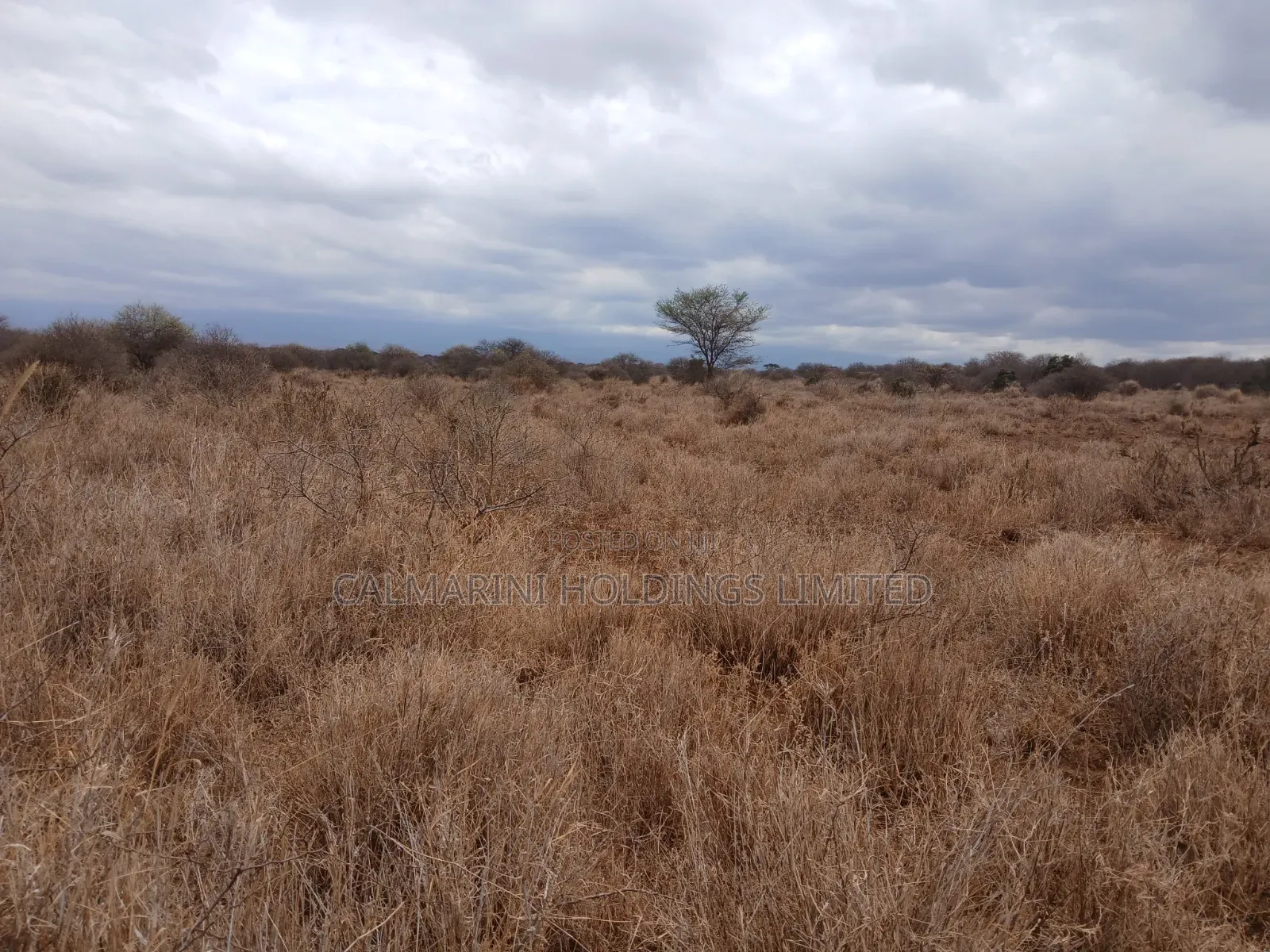 Prime Distress Deal! 58 Acres in Kimana,Amboseli NP Next to Sopa Lodge