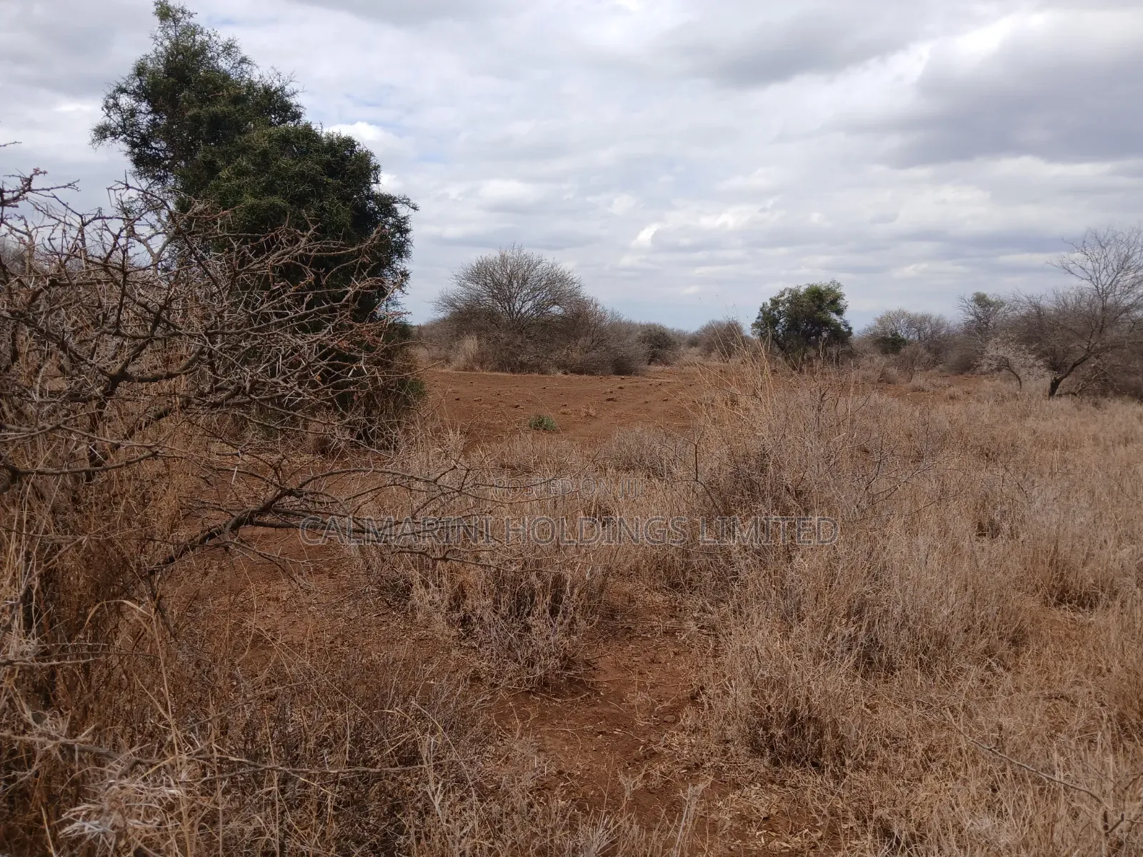 Prime Distress Deal! 58 Acres in Kimana,Amboseli NP Next to Sopa Lodge