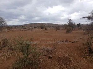 Prime Distress Deal! 58 Acres in Kimana,Amboseli NP Next to Sopa Lodge