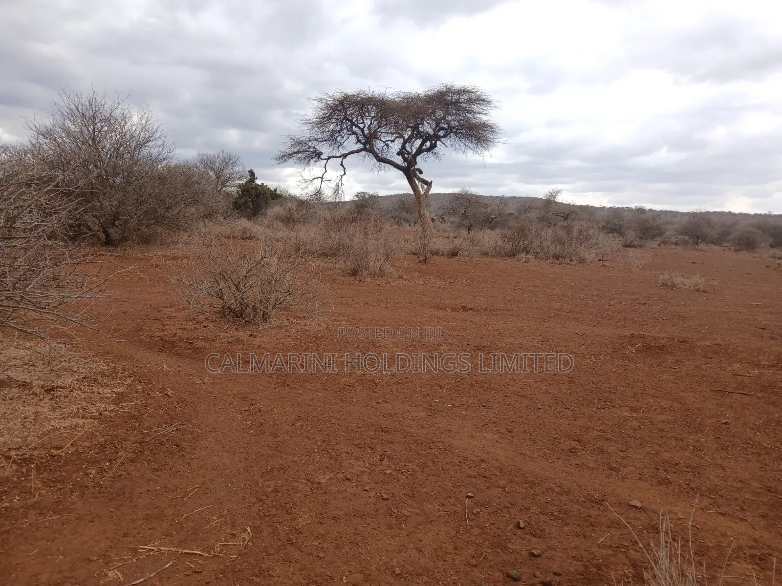 Prime Distress Deal! 58 Acres in Kimana,Amboseli NP Next to Sopa Lodge