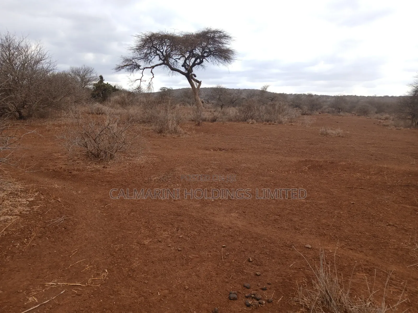 Prime Distress Deal! 58 Acres in Kimana,Amboseli NP Next to Sopa Lodge