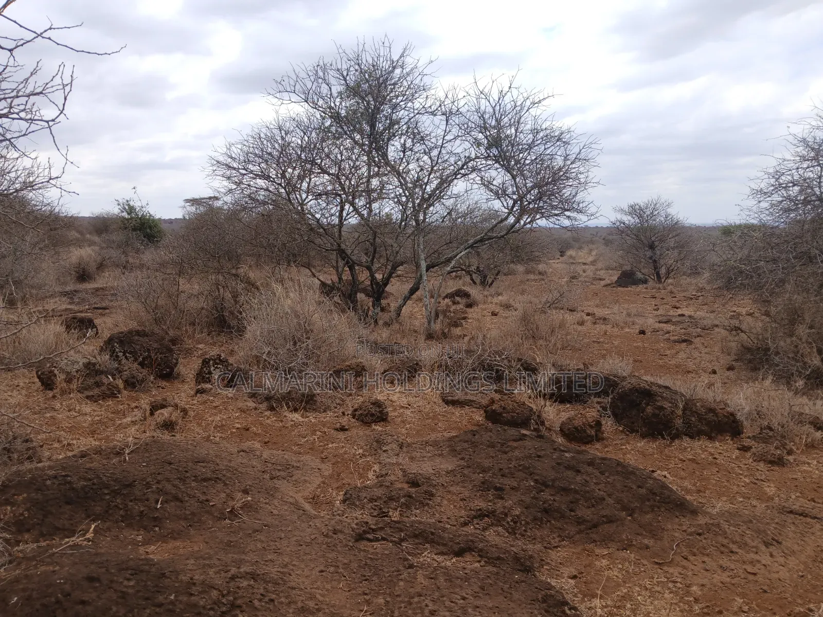 Prime Distress Deal! 58 Acres in Kimana,Amboseli NP Next to Sopa Lodge