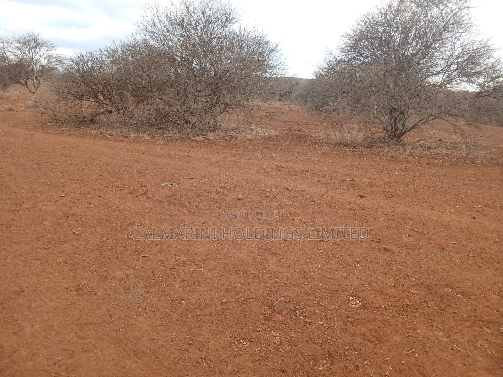 Prime Distress Deal! 58 Acres in Kimana,Amboseli NP Next to Sopa Lodge