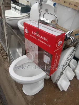 Ordinary Toilet and Cistern