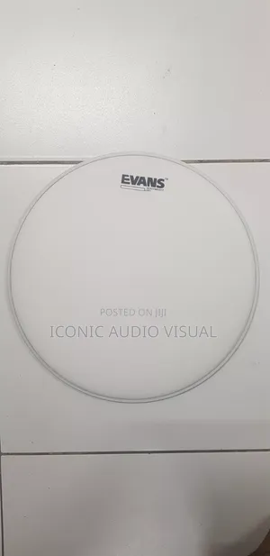 EVANS Heavy Weight Dry 13"