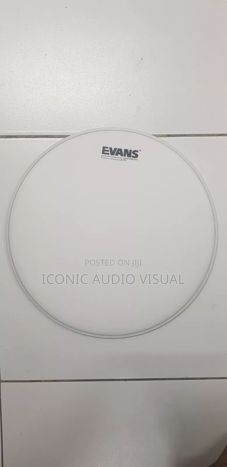 EVANS Heavy Weight Dry 13"