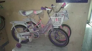Crossroad 16-Inch Girls Kids Bicycle With Training Wheels