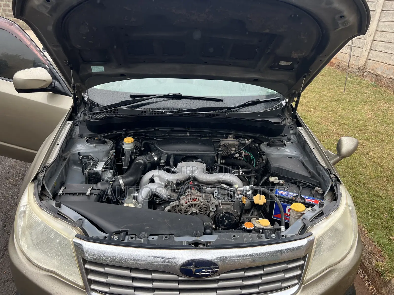 Subaru Forester 2008 Brown
