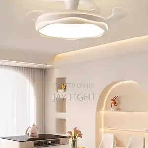 Silent Remote Control Hidden Blade Decorative Ceiling Fan Light