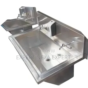 Stainless Scrub Sink