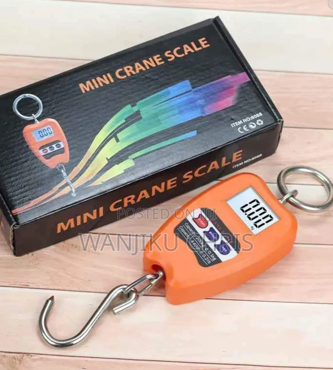 200kg Mini Crane Scale