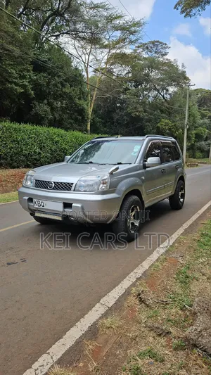 Nissan X-Trail 2004 Silver