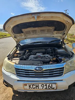 Subaru Forester 2009 Pearl