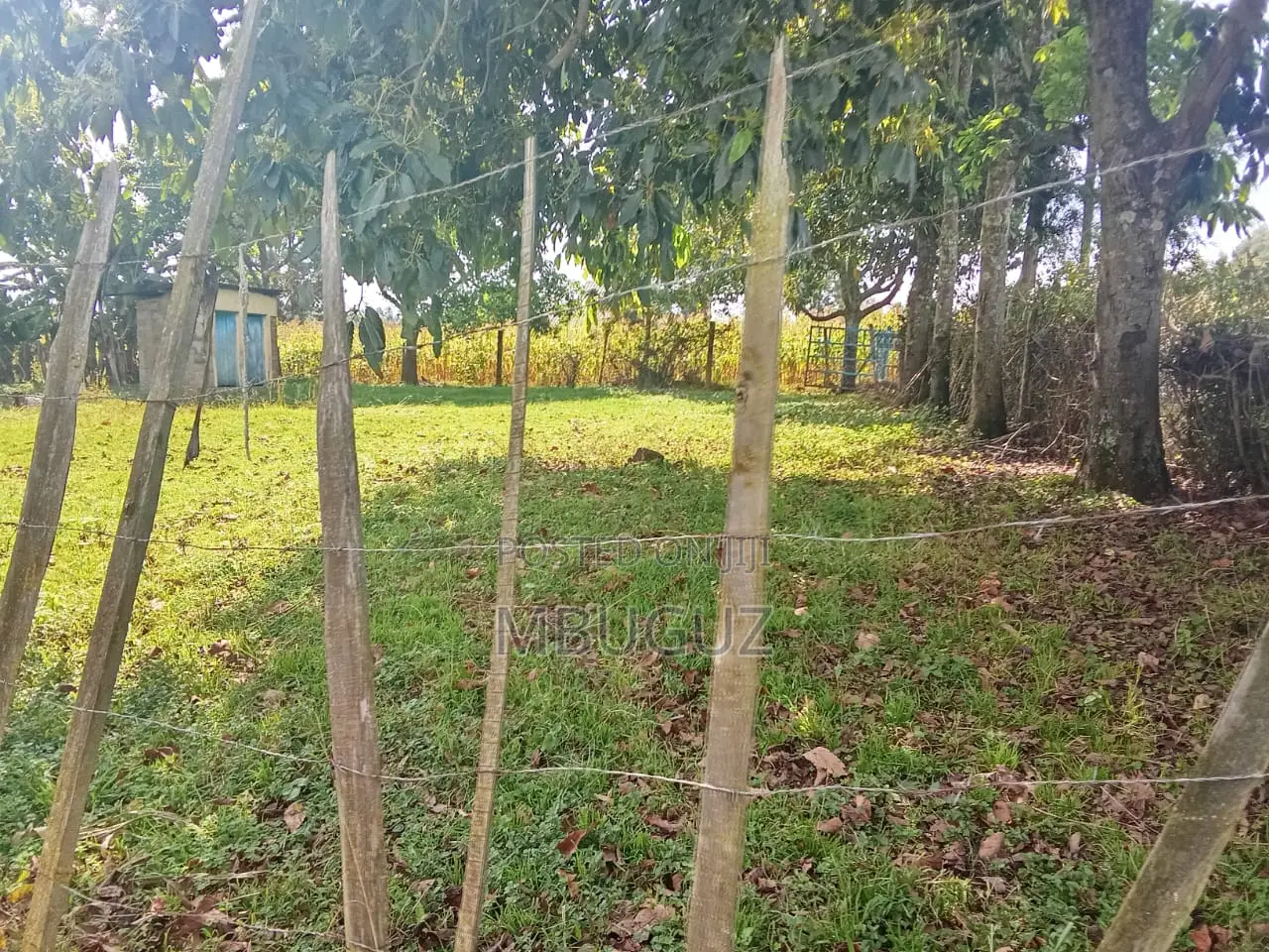5bdrm House in Giachonge, Tabuga for sale