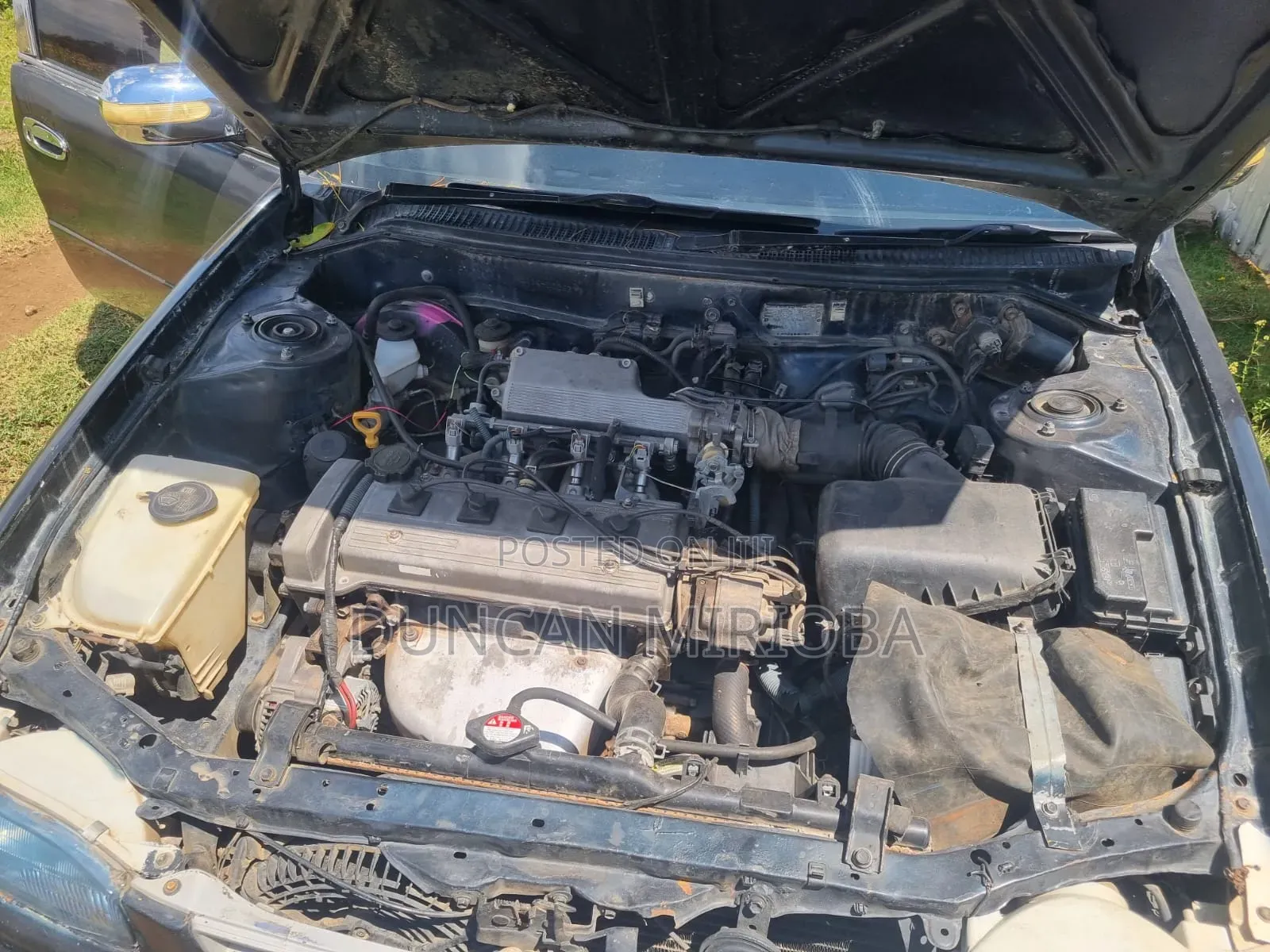 Toyota Corolla 1998 Blue